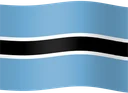 Wave style